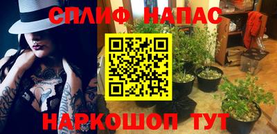 прущие крисы Будённовск
