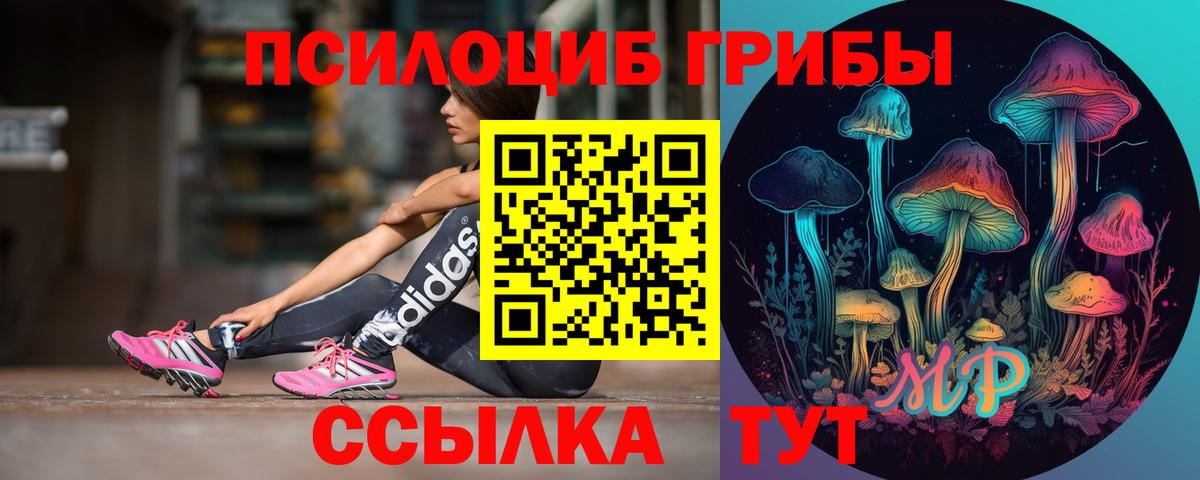 Галлюциногенные грибы GOLDEN TEACHER Нерюнгри
